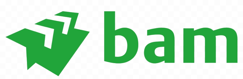 Royal BAM Nederland